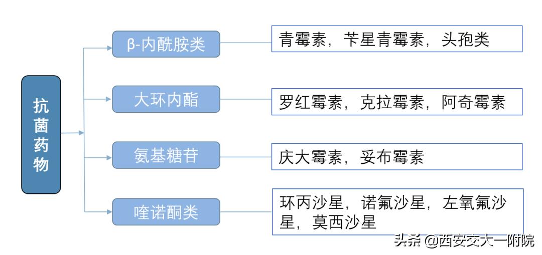 临床药师培训抗菌药物,临床药师的合理用药宣教