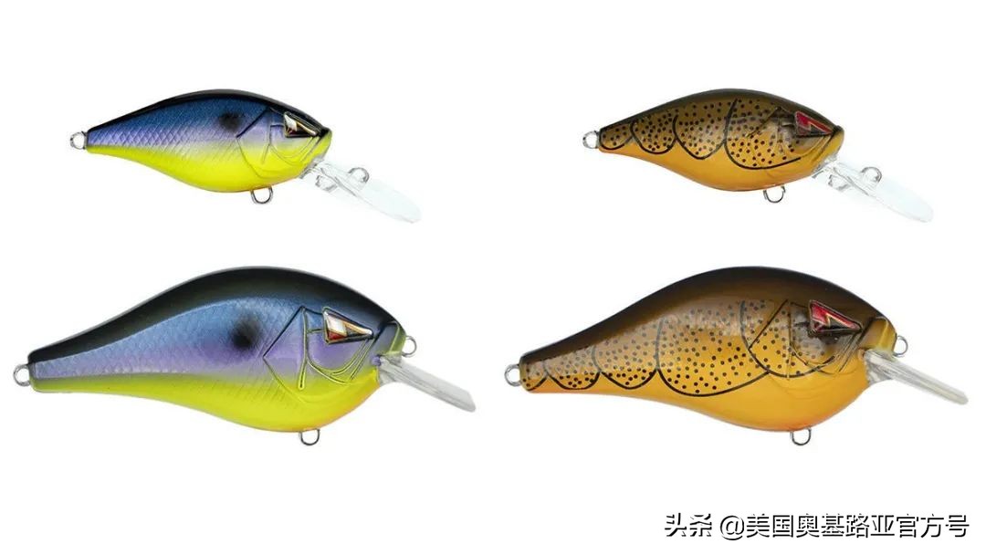 2024全国渔具展会一览表最新,2022年全国渔具展在哪