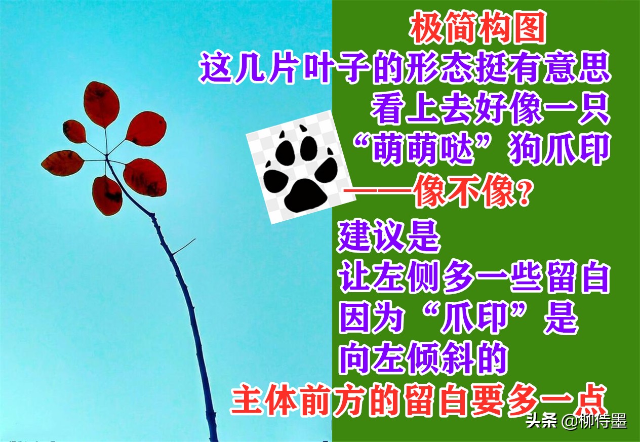 摄影新手如何拍摄照片教程,新手学习摄影入门第一步