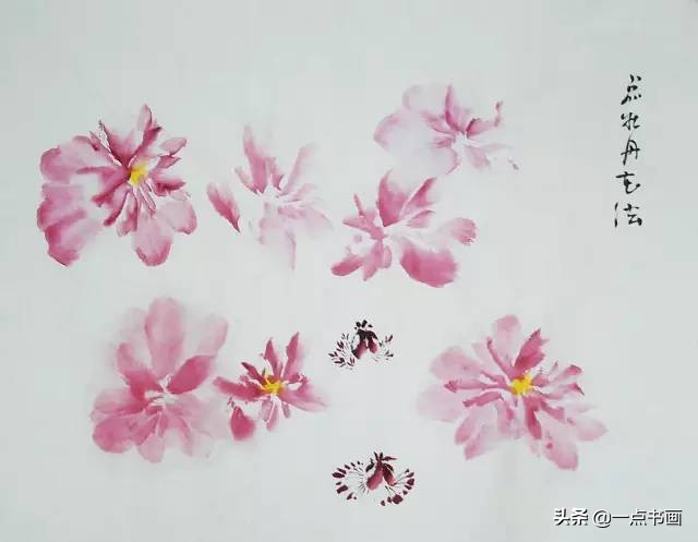 王绣写意牡丹画法步骤,王兮然写意牡丹画法视频大全
