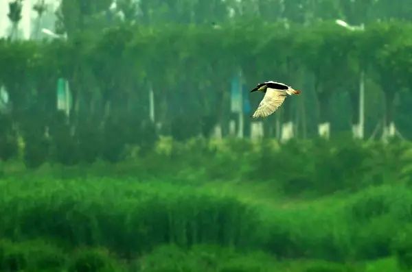 北京房山团建踏青地点推荐,北京房山春季旅游最佳去处