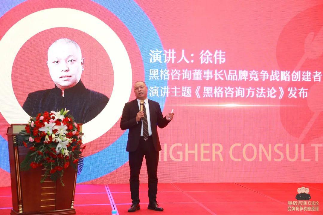 黑格咨询成功案例,黑格咨询中天