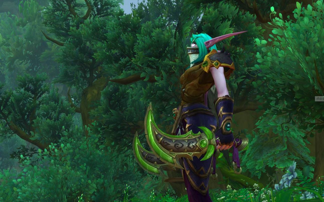 魔兽世界正式服盗贼专精哪个好,魔兽世界正式服9.1盗贼专业