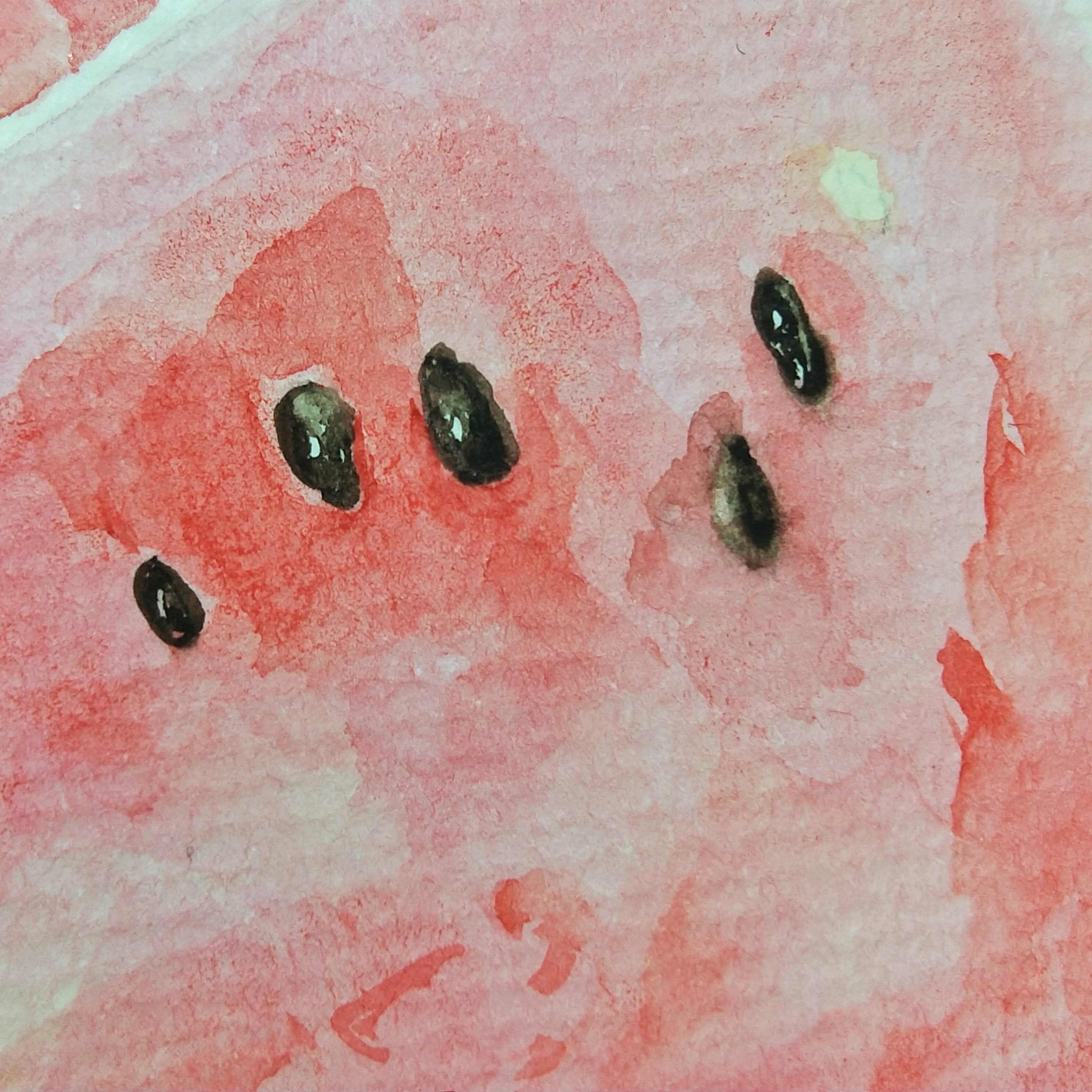 质感摄影视频,质感也是微距摄影的表现