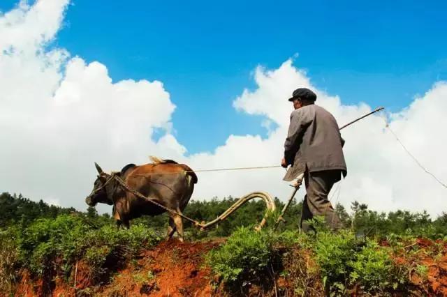 如果，为纵横深圳商圈的潮汕老板摹一幅画像...