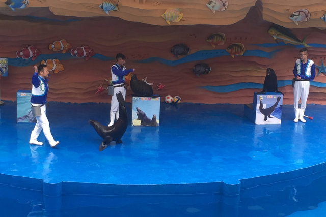 隐贤山庄迪士尼,东莞隐贤山庄旅游风景区住宿