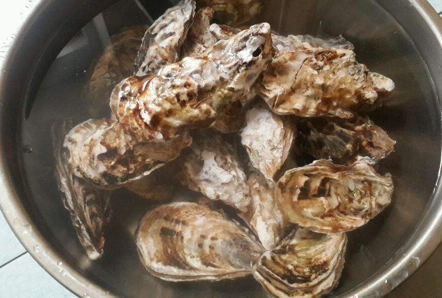 水煮生蚝开水下锅还是凉水下锅煮,开生蚝的家常做法水煮几分钟