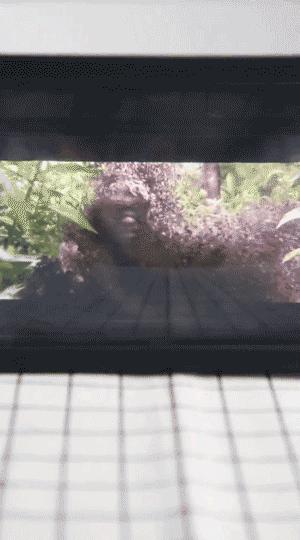 曾经抖音卖的最火的产品，买回来我觉得我智商该充话费了