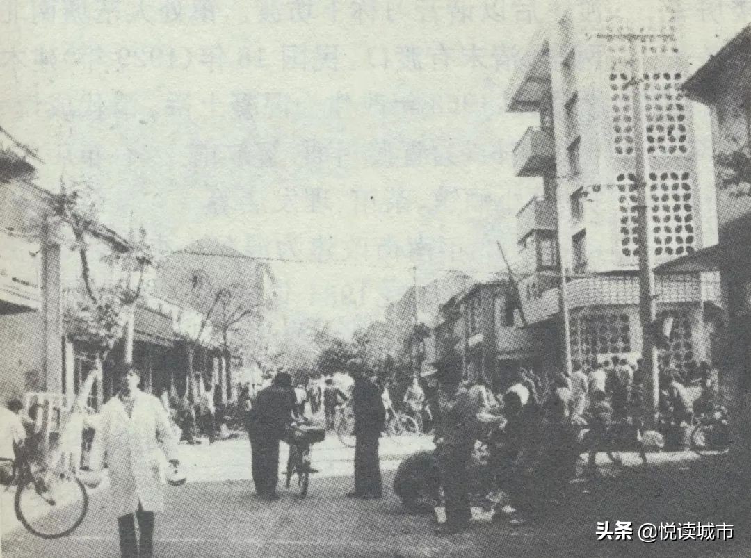 金秋赏“金”：新老照片对比金山发展老金山都不一定认得全