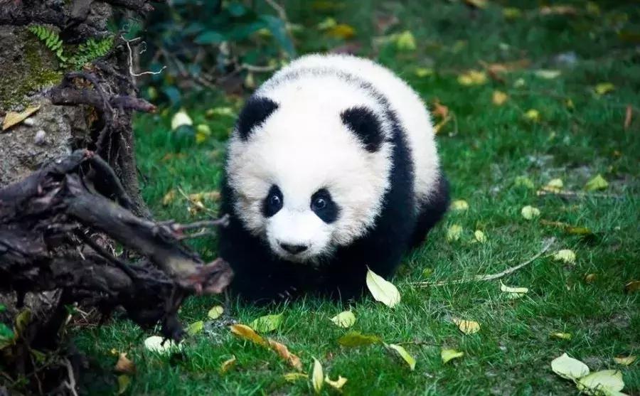 您有一份邀请函请查收,您有一份新的工作请查收