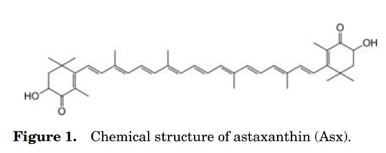 虾青素抗氧化第一名,虾青素地表最强抗氧化剂