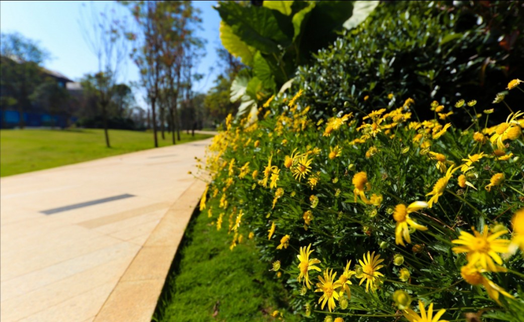 俊发海东俊园,俊发海东俊园合院