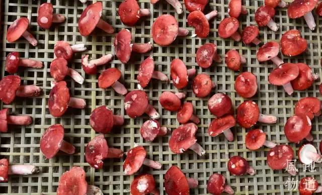 广西不止有螺蛳粉,广西小吃芒果干