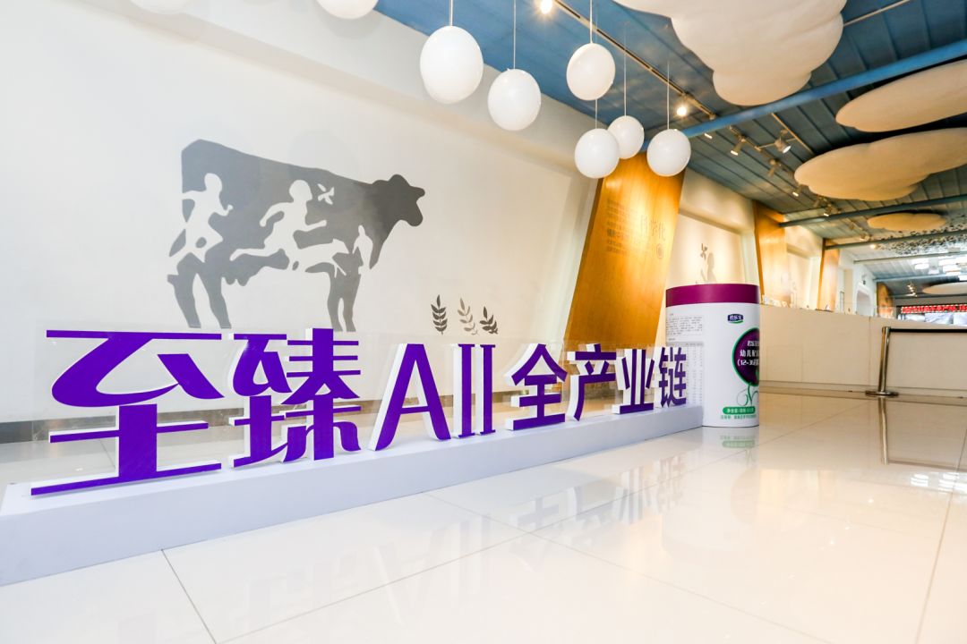 打碎海外垄断,打碎欧美巨头垄断实现进口替代