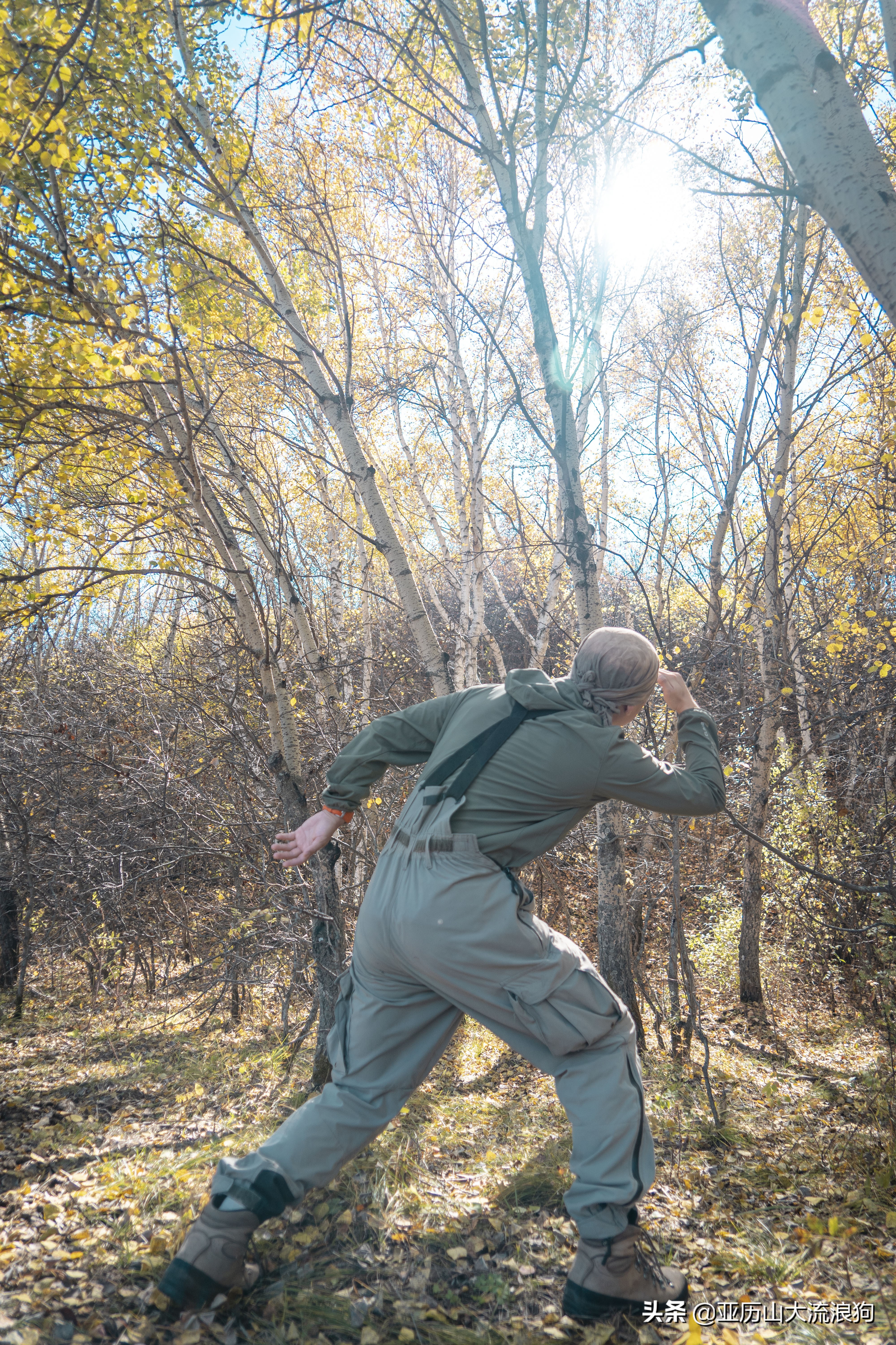 你那秋天来了吗？我这反正颜料泼了一地——内蒙古黄岗梁穿越之旅