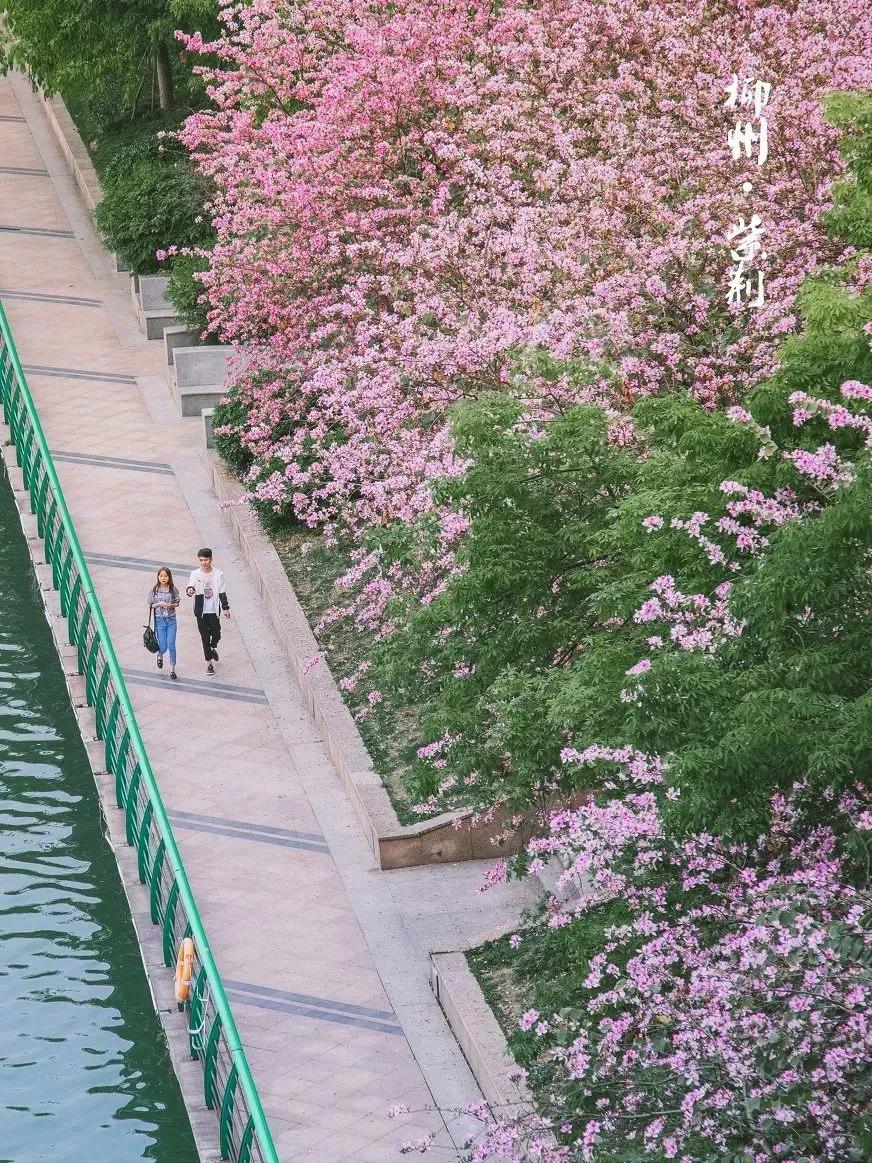 退休后就去国内旅游,退休后必去的100个景点