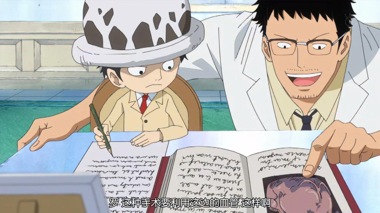 海贼王和之国三大剑客,海贼王和之国谁救了罗