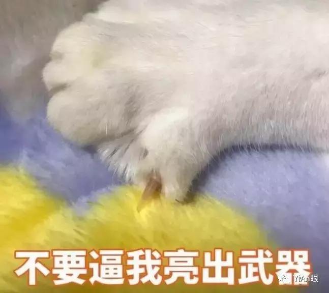 隐形眼镜戴上了怎么还摘不下来了,隐形眼镜摘也难吗