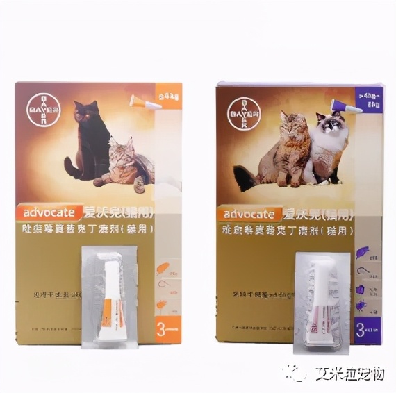 猫咪内驱虫的正确方法,狗狗驱虫和猫咪驱虫