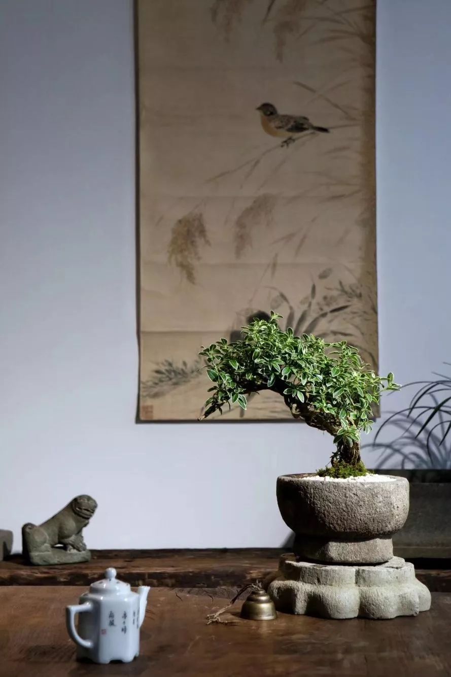 开古玩店的真实经历,开一家古玩店都需要什么