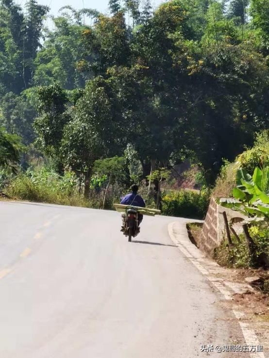 鬼哥的五万里D98骑记：树包塔包的是什么？（按板镇-景谷县）
