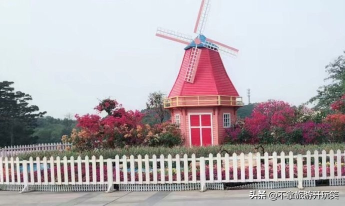 东莞植物园美丽好风景,东莞植物园有什么风景