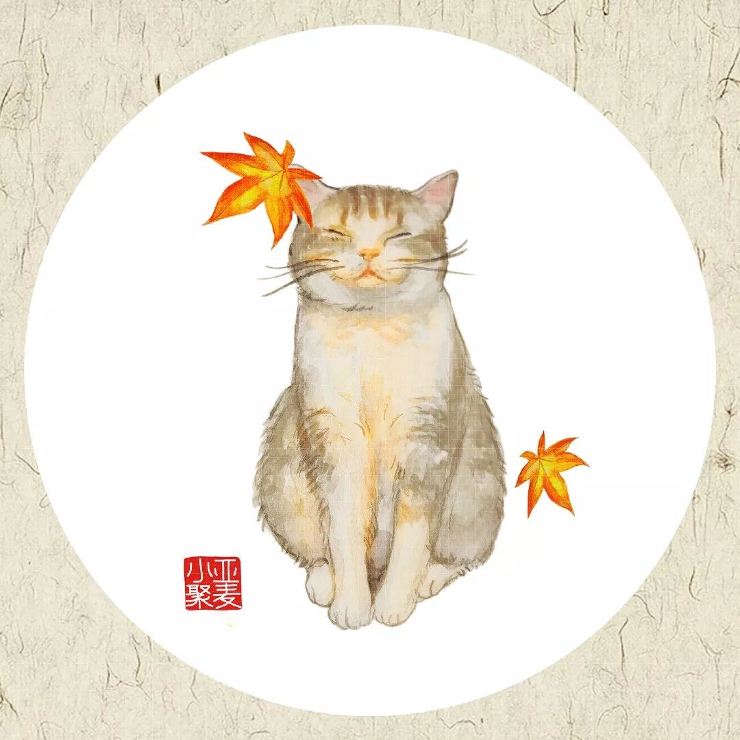 可爱的橘猫插画,一组可爱的治愈系猫咪插画
