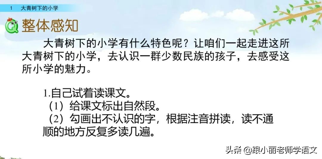 大青树下的小学重点知识点,大青树下的小学重点知识梳理