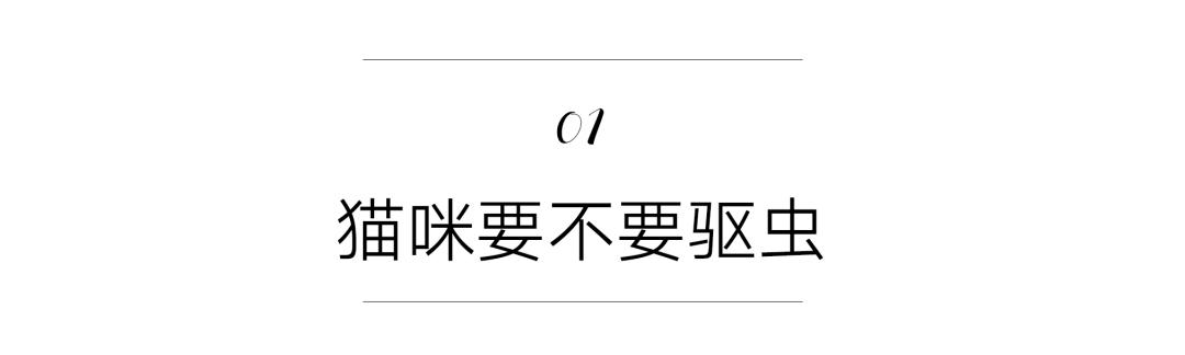 猫咪身上的寄生虫怎么处理,按时驱虫的猫咪还会有寄生虫吗