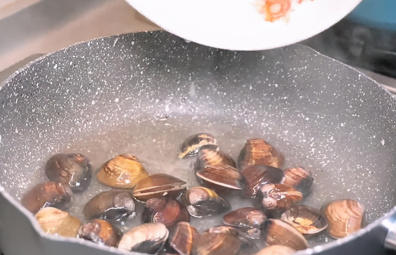 白蛤蜊吐沙盐的比例,洗蛤蜊吐沙
