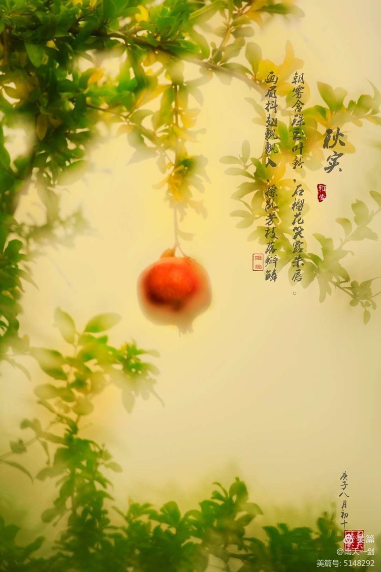 石榴一般几月份熟,石榴怎么判断熟了