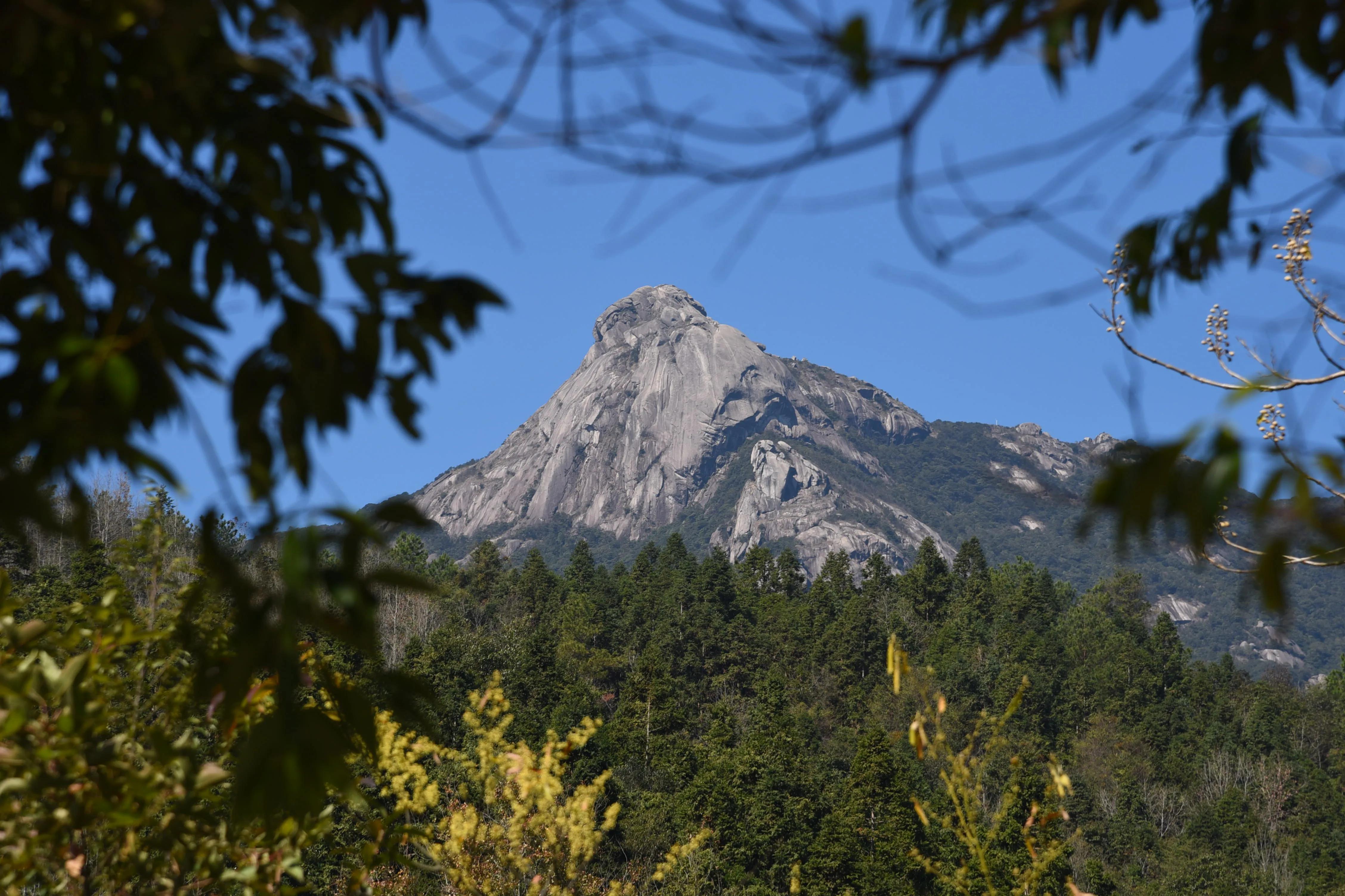 新丰云髻山,新丰云髻山枫叶红了吗