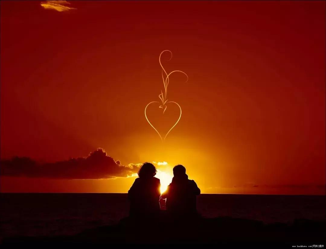 当下也有美诗读！和尚诗壁（76）回望当年牵手处，而今唯有落花新