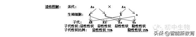 陕西2022初中生物会考知识点,初中生物会考知识点总结doc