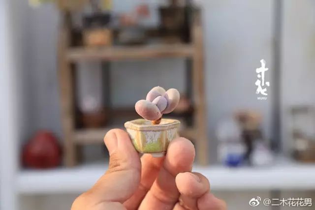 澶氳倝澶х浜屾湪,澶氳倝杈句汉浜屾湪