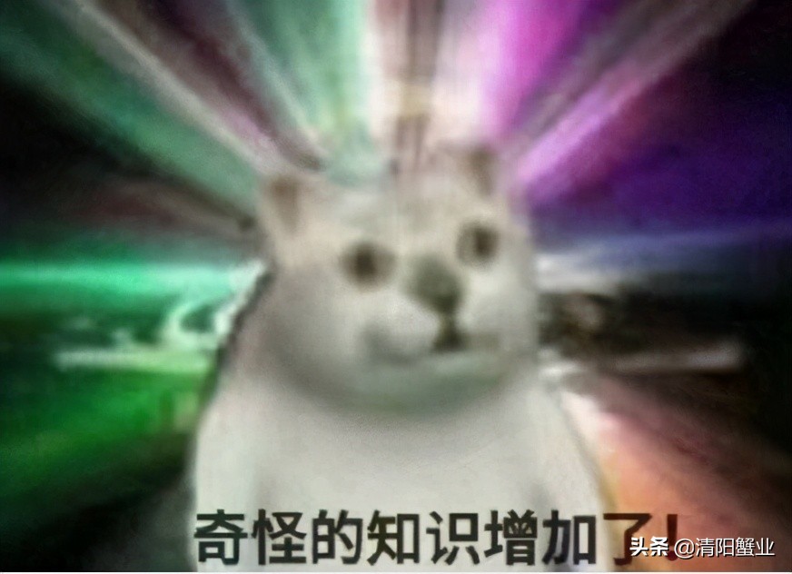 阳澄湖大闸蟹的口感,阳澄湖大闸蟹开始品尝美味了