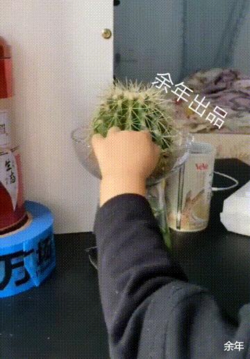 小孩被鱼刺卡住,男孩被四厘米鱼刺卡住喉咙