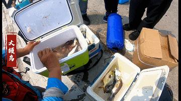 洞头海钓赶海最佳地点,阳江大镬岛矶钓点