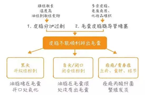 毛孔黑头去除神器小灯泡,吸黑头神器毛孔清洁仪器康佳
