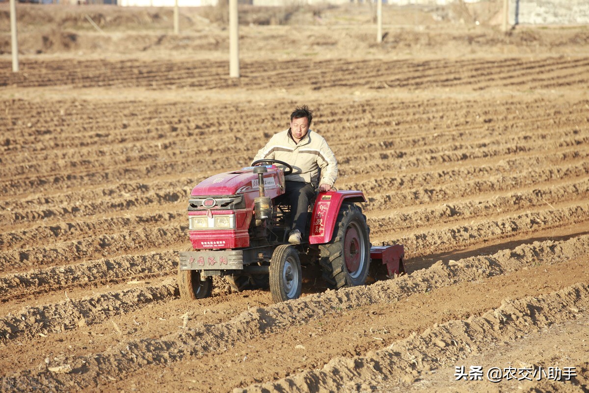 农村土地承包抵押贷款,农村土地经营权抵押贷款的效果