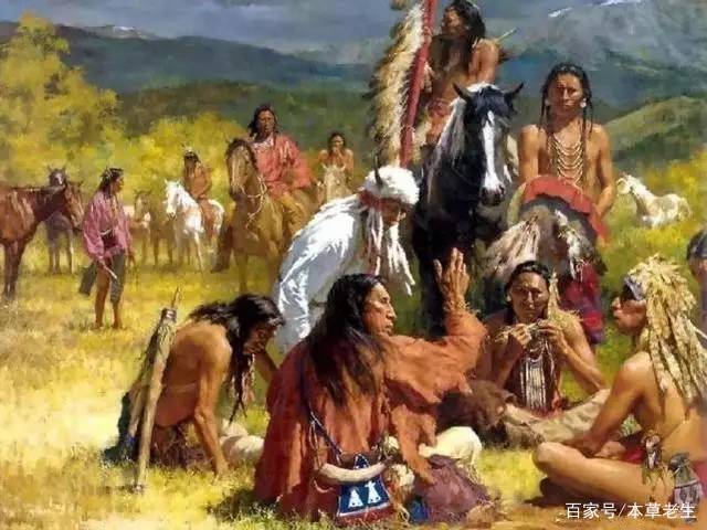 国外挖西洋参,美国挖西洋参许可证