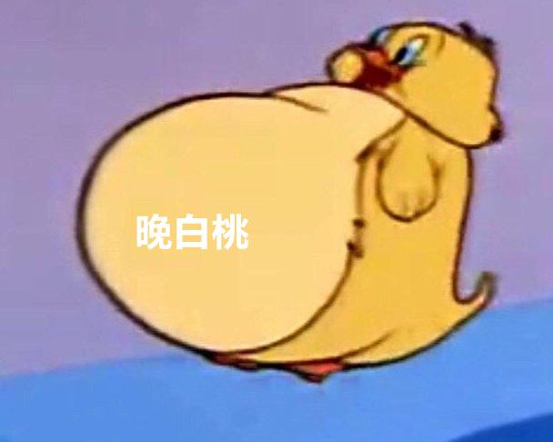 上海造火箭的地方,福建哪个地方造火箭