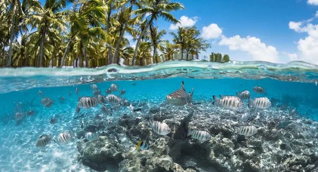 大溪地离天堂近吗,离天堂最近的地方终极海岛大溪地