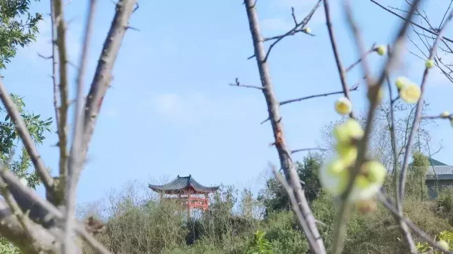 离赣州最近的森林公园还有多远,赣州最好玩的公园不要门票