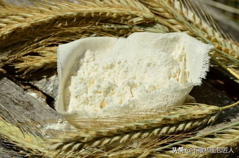 用水和面能做毛毛虫面包,面包可以用水做吗