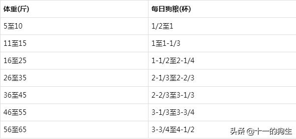 幼犬不知道喜欢吃什么,幼犬不知道吃狗粮