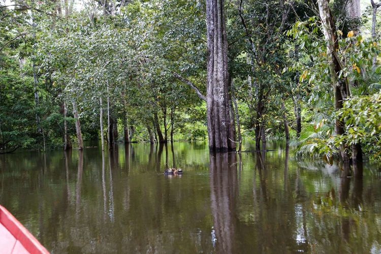 南美之旅总结篇,南美之行结束感悟