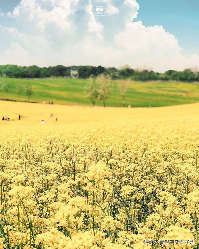 <html>
<head><title>502BadGateway</title></head>
<body>
<center><h1>502BadGateway</h1></center>
<hr><center>nginx</center>
</body>
</html>
<!--apaddingtodisableMSIEandChromefriendlyerrorpage-->
<!--apaddingtodisableMSIEandChromefriendlyerrorpage-->
<!--apaddingtodisableMSIEandChromefriendlyerrorpage-->
<!--apaddingtodisableMSIEandChromefriendlyerrorpage-->
<!--apaddingtodisableMSIEandChromefriendlyerrorpage-->
<!--apaddingtodisableMSIEandChromefriendlyerrorpage-->
