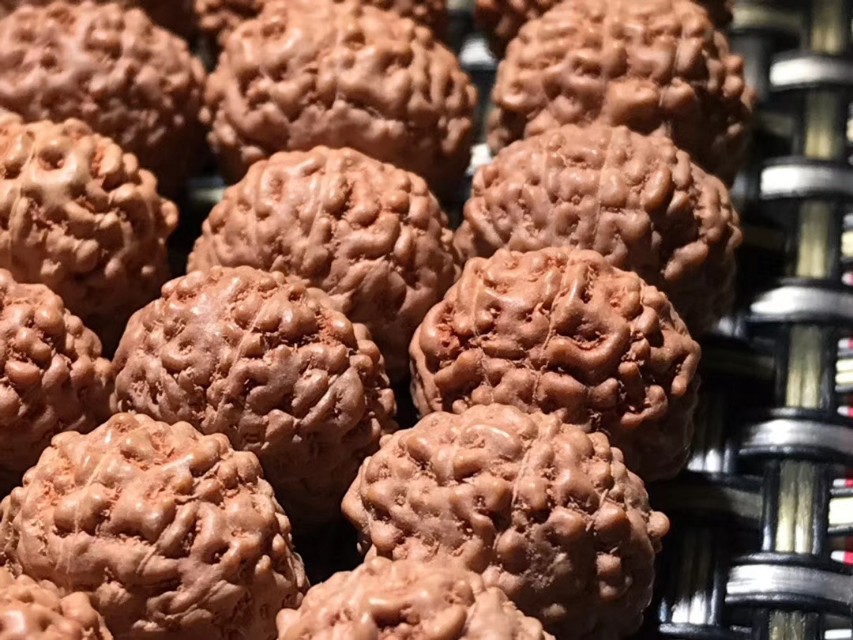 金刚菩提手串寓意,金刚菩提手串