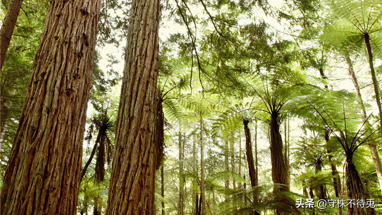 21个冷知识,23个有趣的冷知识